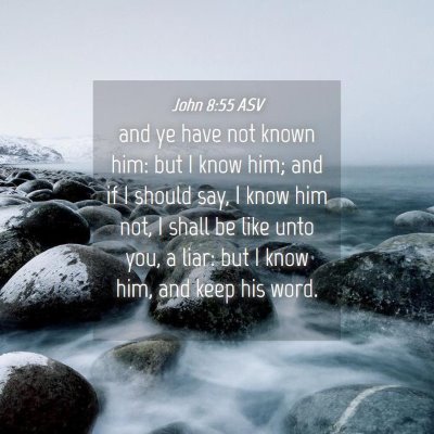 Picture 04 - John 8:55 ASV - and ye have not known him: but I know him; and if - Bible Verse Picture