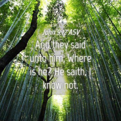 Picture 04 - John 9:12 ASV - And they said unto him, Where is he? He saith, I - Bible Verse Picture