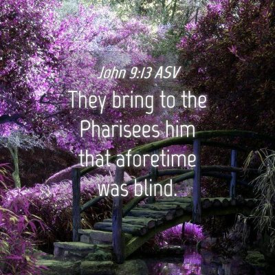 Picture 04 - John 9:13 ASV - They bring to the Pharisees him that aforetime - Bible Verse Picture
