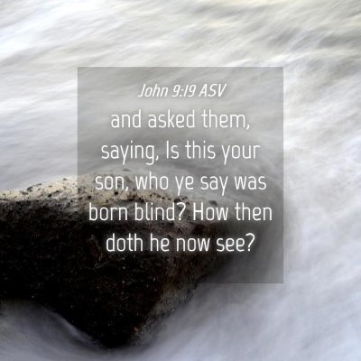 Picture 04 - John 9:19 ASV - and asked them, saying, Is this your son, who ye - Bible Verse Picture