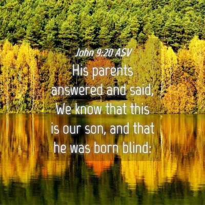 Picture 04 - John 9:20 ASV - His parents answered and said, We know that this - Bible Verse Picture