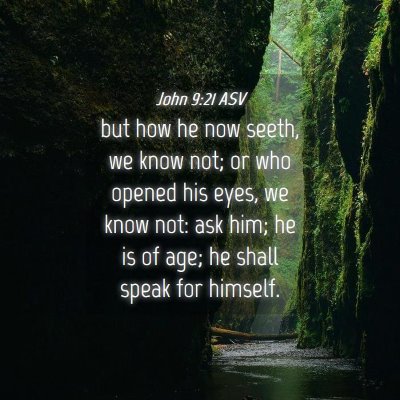 Picture 04 - John 9:21 ASV - but how he now seeth, we know not; or who opened - Bible Verse Picture
