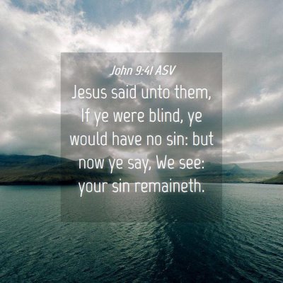 Picture 04 - John 9:41 ASV - Jesus said unto them, If ye were blind, ye would - Bible Verse Picture