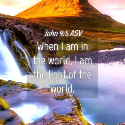 Picture 04 - John 9:5 ASV - When I am in the world, I am the light of the - Bible Verse Picture