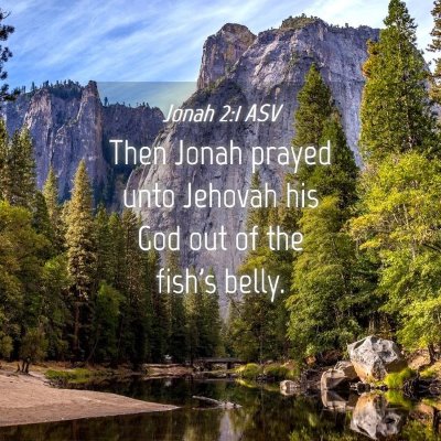 Picture 04 - Jonah 2:1 ASV - Then Jonah prayed unto Jehovah his God out of the - Bible Verse Picture