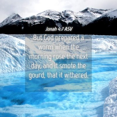 Picture 04 - Jonah 4:7 ASV - But God prepared a worm when the morning rose the - Bible Verse Picture