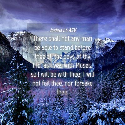 Picture 04 - Joshua 1:5 ASV - There shall not any man be able to stand before - Bible Verse Picture