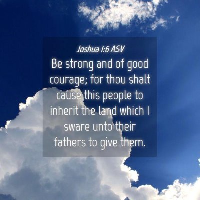 Picture 04 - Joshua 1:6 ASV - Be strong and of good courage; for thou shalt - Bible Verse Picture