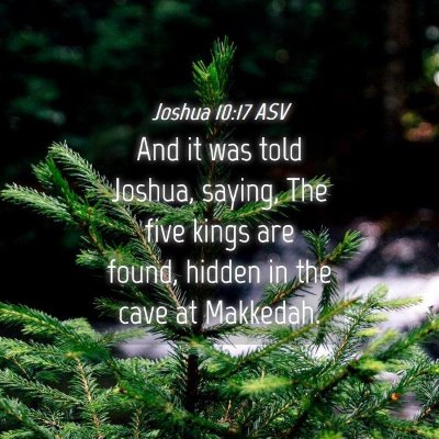Picture 04 - Joshua 10:17 ASV - And it was told Joshua, saying, The five kings - Bible Verse Picture