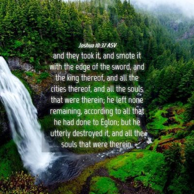 Picture 04 - Joshua 10:37 ASV - and they took it, and smote it with the edge of - Bible Verse Picture