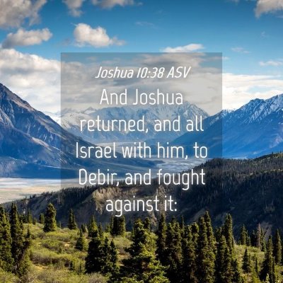 Picture 04 - Joshua 10:38 ASV - And Joshua returned, and all Israel with him, to - Bible Verse Picture