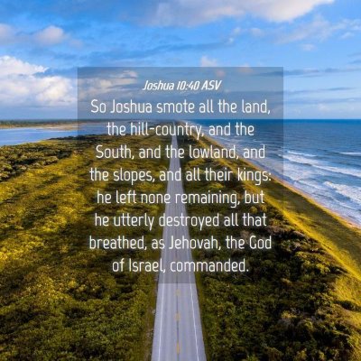 Picture 04 - Joshua 10:40 ASV - So Joshua smote all the land, the hill-country, - Bible Verse Picture