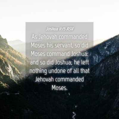 Picture 04 - Joshua 11:15 ASV - As Jehovah commanded Moses his servant, so did - Bible Verse Picture