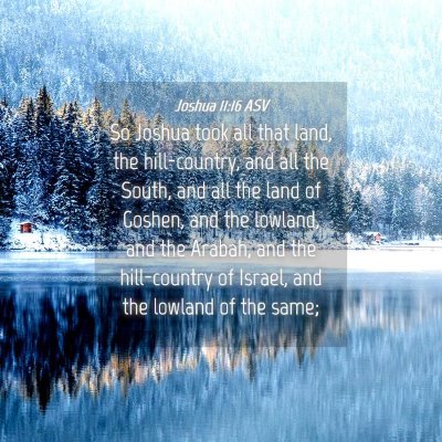 Picture 04 - Joshua 11:16 ASV - So Joshua took all that land, the hill-country, - Bible Verse Picture