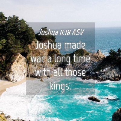 Picture 04 - Joshua 11:18 ASV - Joshua made war a long time with all those - Bible Verse Picture