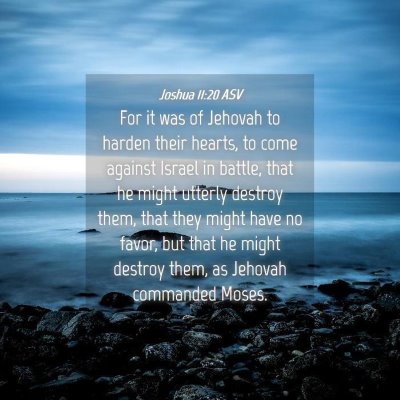 Picture 04 - Joshua 11:20 ASV - For it was of Jehovah to harden their hearts, to - Bible Verse Picture