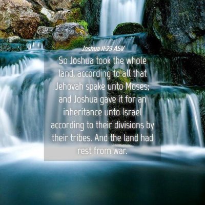 Picture 04 - Joshua 11:23 ASV - So Joshua took the whole land, according to all - Bible Verse Picture