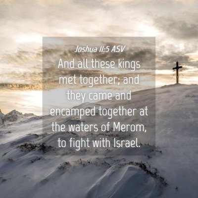 Picture 04 - Joshua 11:5 ASV - And all these kings met together; and they came - Bible Verse Picture