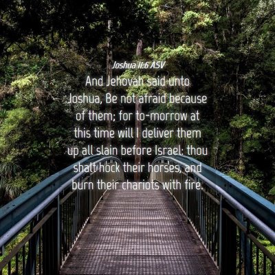 Picture 04 - Joshua 11:6 ASV - And Jehovah said unto Joshua, Be not afraid - Bible Verse Picture