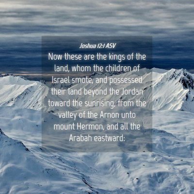 Picture 04 - Joshua 12:1 ASV - Now these are the kings of the land, whom the - Bible Verse Picture