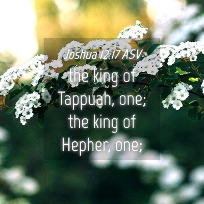 Picture 04 - Joshua 12:17 ASV - the king of Tappuah, one; the king of Hepher, - Bible Verse Picture