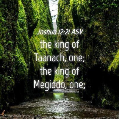 Picture 04 - Joshua 12:21 ASV - the king of Taanach, one; the king of Megiddo, - Bible Verse Picture
