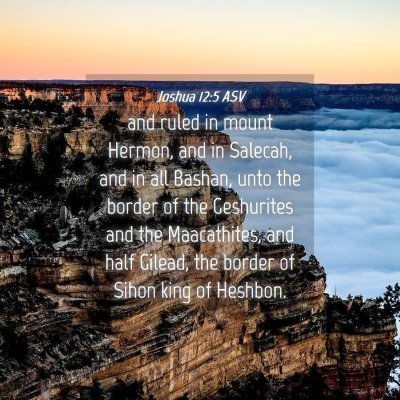 Picture 04 - Joshua 12:5 ASV - and ruled in mount Hermon, and in Salecah, and in - Bible Verse Picture