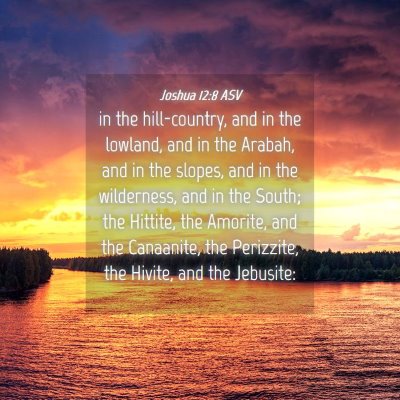 Picture 04 - Joshua 12:8 ASV - in the hill-country, and in the lowland, and in - Bible Verse Picture