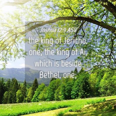 Picture 04 - Joshua 12:9 ASV - the king of Jericho, one; the king of Ai, which - Bible Verse Picture