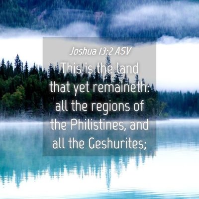 Picture 04 - Joshua 13:2 ASV - This is the land that yet remaineth: all the - Bible Verse Picture