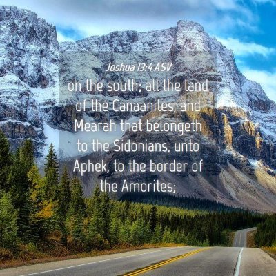 Picture 04 - Joshua 13:4 ASV - on the south; all the land of the Canaanites, and - Bible Verse Picture