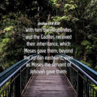 Picture 04 - Joshua 13:8 ASV - With him the Reubenites and the Gadites received - Bible Verse Picture