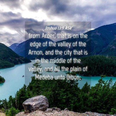 Picture 04 - Joshua 13:9 ASV - from Aroer, that is on the edge of the valley of - Bible Verse Picture
