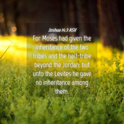 Picture 04 - Joshua 14:3 ASV - For Moses had given the inheritance of the two - Bible Verse Picture