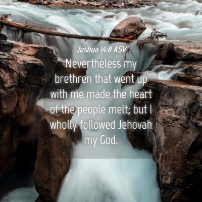 Picture 04 - Joshua 14:8 ASV - Nevertheless my brethren that went up with me - Bible Verse Picture