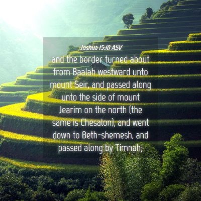 Picture 04 - Joshua 15:10 ASV - and the border turned about from Baalah westward - Bible Verse Picture