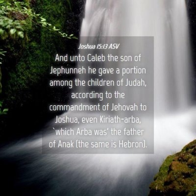 Picture 04 - Joshua 15:13 ASV - And unto Caleb the son of Jephunneh he gave a - Bible Verse Picture