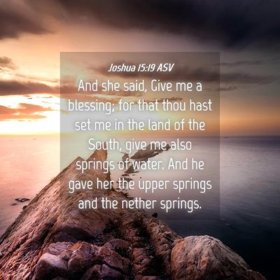 Picture 04 - Joshua 15:19 ASV - And she said, Give me a blessing; for that thou - Bible Verse Picture