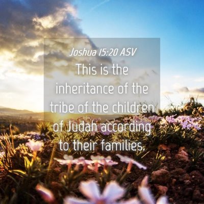 Picture 04 - Joshua 15:20 ASV - This is the inheritance of the tribe of the - Bible Verse Picture