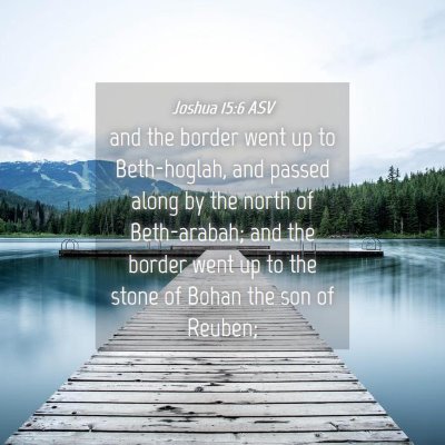 Picture 04 - Joshua 15:6 ASV - and the border went up to Beth-hoglah, and passed - Bible Verse Picture
