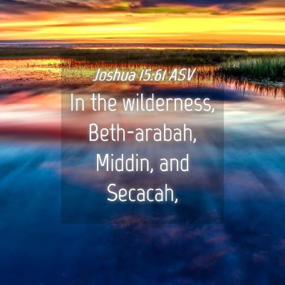 Picture 04 - Joshua 15:61 ASV - In the wilderness, Beth-arabah, Middin, and - Bible Verse Picture