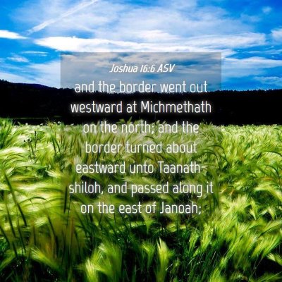 Picture 04 - Joshua 16:6 ASV - and the border went out westward at Michmethath - Bible Verse Picture