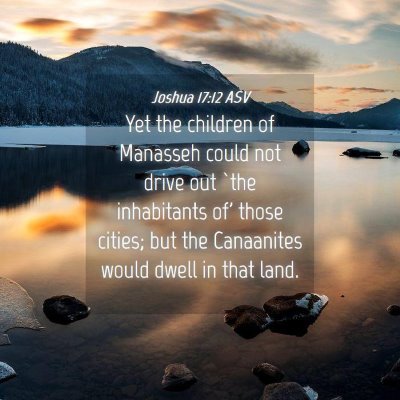 Picture 04 - Joshua 17:12 ASV - Yet the children of Manasseh could not drive out - Bible Verse Picture