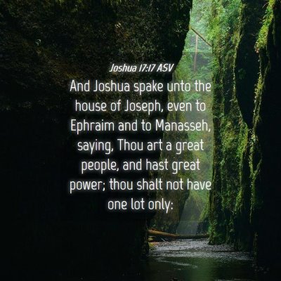Picture 04 - Joshua 17:17 ASV - And Joshua spake unto the house of Joseph, even - Bible Verse Picture