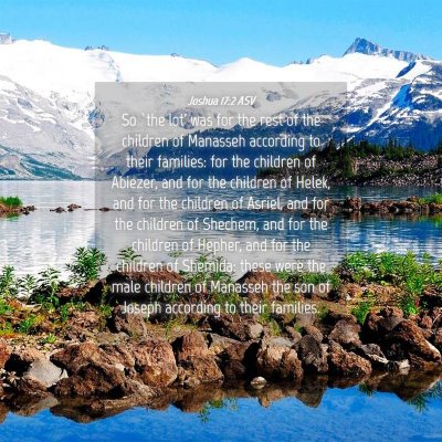 Picture 04 - Joshua 17:2 ASV - So `the lot' was for the rest of the children of - Bible Verse Picture