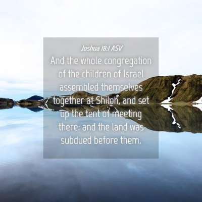 Picture 04 - Joshua 18:1 ASV - And the whole congregation of the children of - Bible Verse Picture