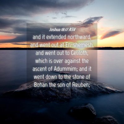 Picture 04 - Joshua 18:17 ASV - and it extended northward, and went out at - Bible Verse Picture