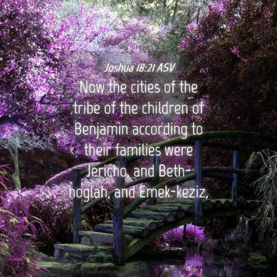 Picture 04 - Joshua 18:21 ASV - Now the cities of the tribe of the children of - Bible Verse Picture