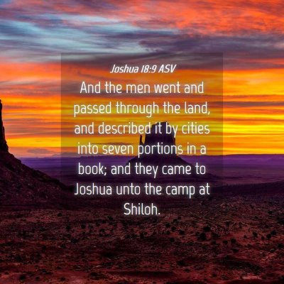 Picture 04 - Joshua 18:9 ASV - And the men went and passed through the land, and - Bible Verse Picture