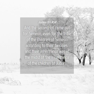 Picture 04 - Joshua 19:1 ASV - And the second lot came out for Simeon, even for - Bible Verse Picture